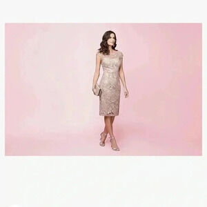 NWT Alex‎ Evenings Gorgeous Dress